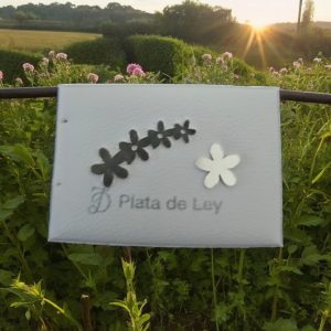 Pendientes plata