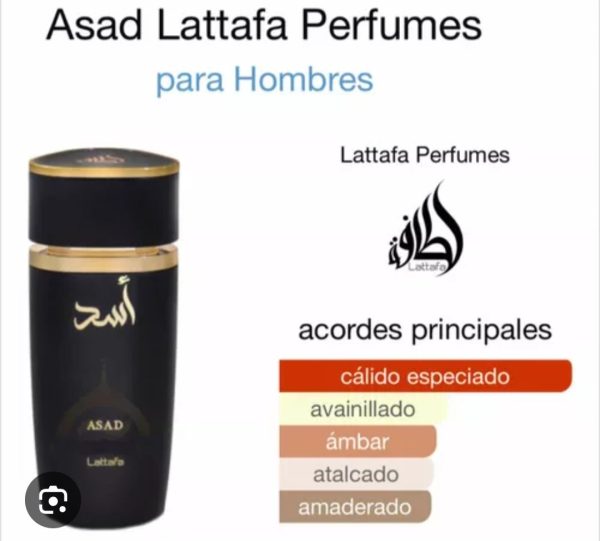 Asad - Image 2