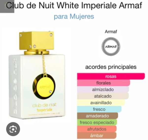 club de nuit imperiale - Image 2