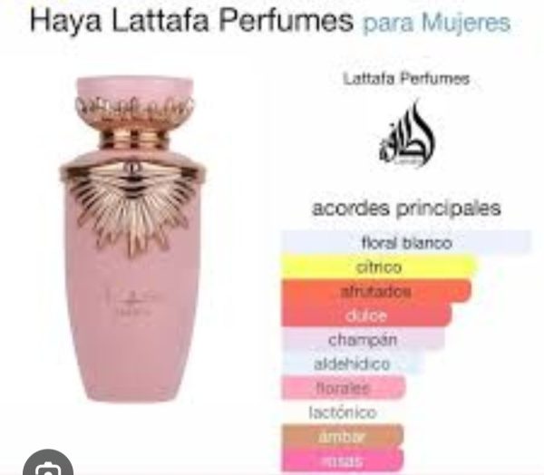 Haya - Image 2